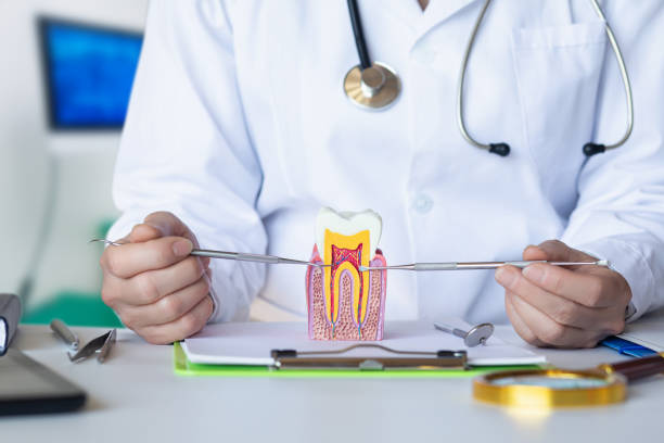 Best Chipped Tooth Repair Near Me  in Fredericksburg, IA